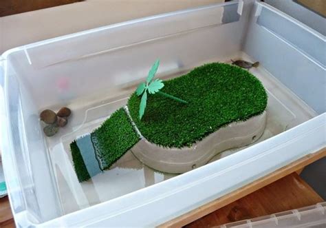 18 DIY Turtle Basking Areas You Can Build Today With Pictures Pet Keen
