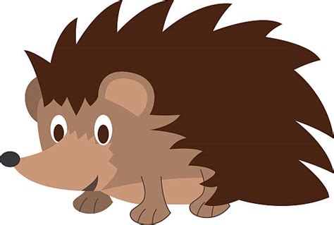 Best Hedgehog Illustrations Royalty Free Vector Graphics And Clip Art