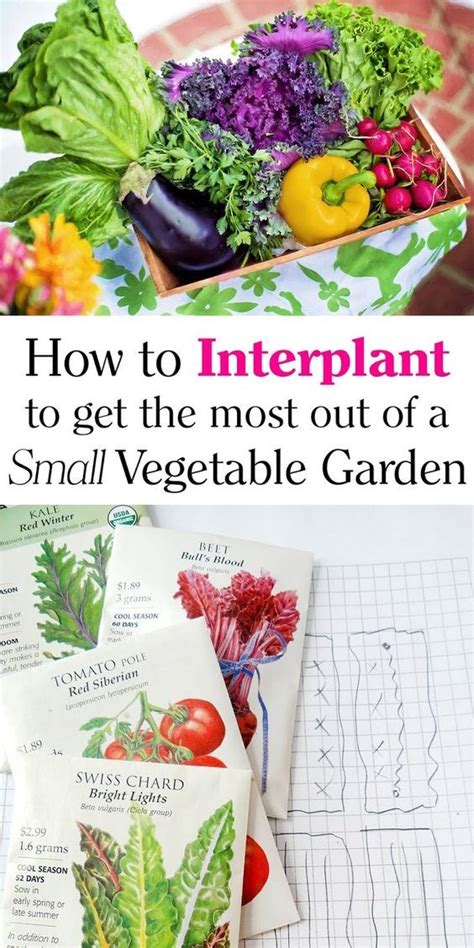Maybe you would like to learn more about one of these? Southern Mom Loves: How to Interplant to Get the Most out ...