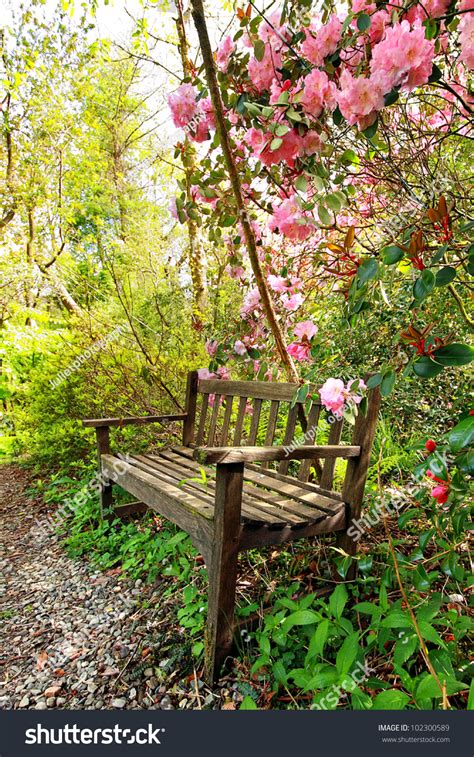 Beautiful Romantic Garden With Wooden Bench And Azalea