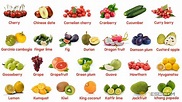 Fruits And Vegetables Pictures, Name Of Vegetables, Vegetable Pictures ...