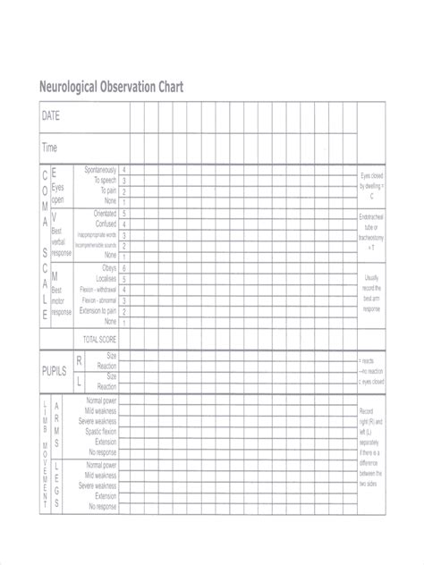 Medical Chart Examples Format Pdf Examples