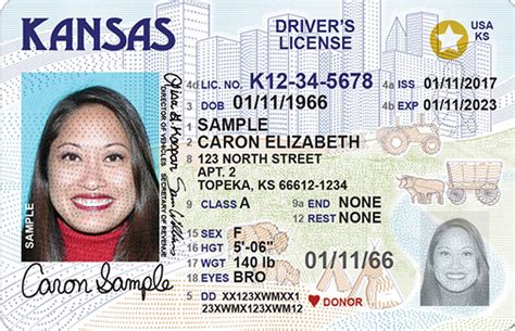 (provided that it is clear that i am talking about my driver's driving license.) Kansas Driver's License Application and Renewal 2020