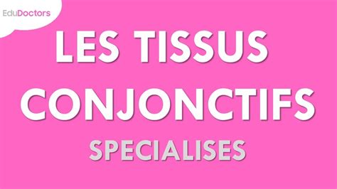 Les Tissus Conjonctifs Sp Cialis S Histologie Youtube