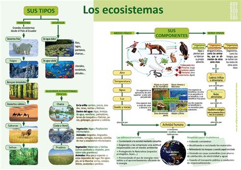 C Nat Ecosistemas Tipos De Ecosistemas Ciencias Naturales Ciencias De La