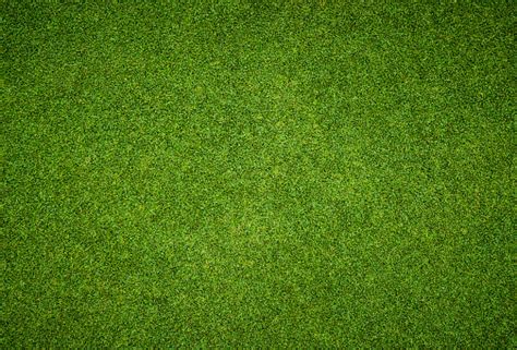 Beautiful Green Grass Pattern From Golf Course Stock Photo Download