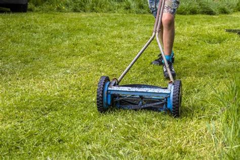 The 7 Best Reel Mower For Your Lawn 2024 Growing Magazine