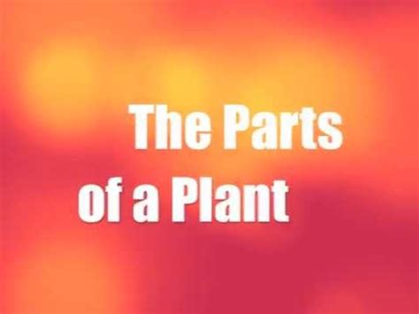 How to make a wet mount slide of elodea plant cells. The Parts of a Plant - YouTube