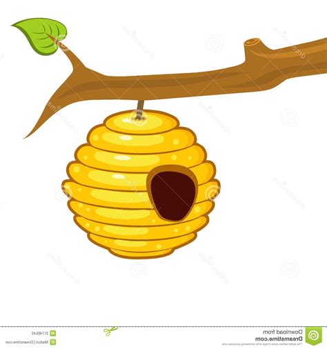 Bee hive clipart svg pictures on Cliparts Pub 2020!  