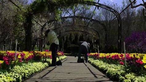 See 1,342 reviews, articles, and 1,006 photos of cheekwood, ranked no.37 on tripadvisor among 237 attractions in nashville. Cheekwood to close Pineapple Room on Dec. 31, open new ...