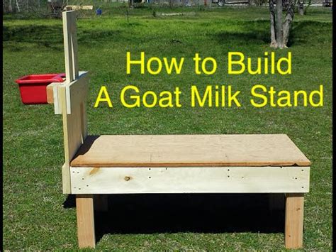 Maybe you would like to learn more about one of these? How to Build a Dairy Goat Milk Stand - Start to Finish - YouTube
