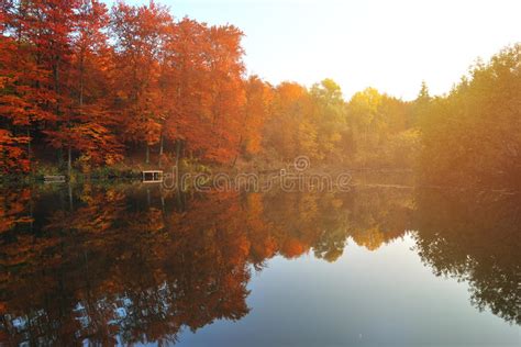 Fall Scene With Lake And Trees Autumn Reflection Stock Photo Image Of