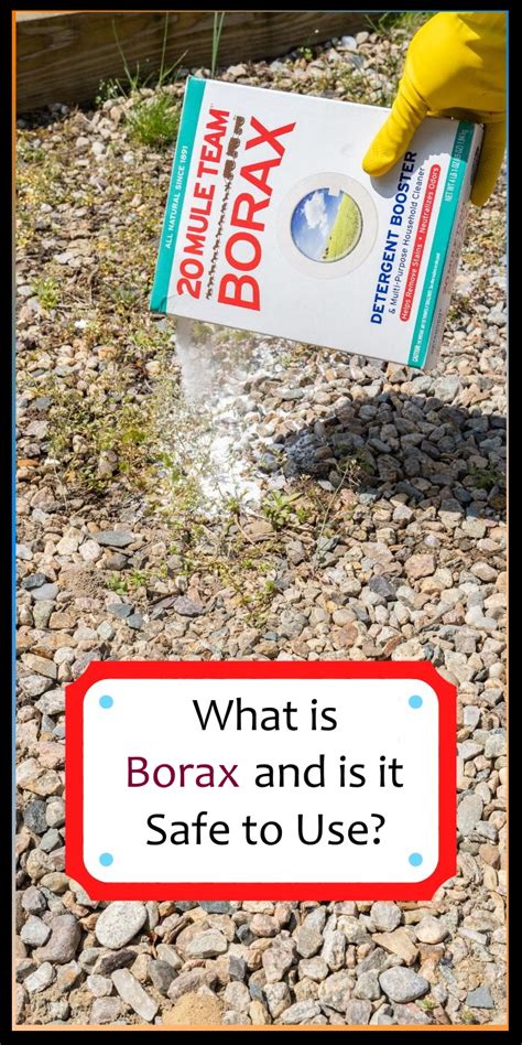 What Is Borax And Is It Safe To Use The Real Facts About Borax And Its