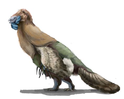 Dinosaurs If They Had Feathers On Behance