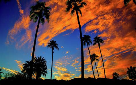 Palm Springs Sunset Photograph By Jim Brown Fine Art America