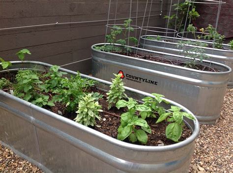 They're a smart replacement for the typical wooden raised beds because they're sturdy and last a. Raised Garden Beds | Survival Life
