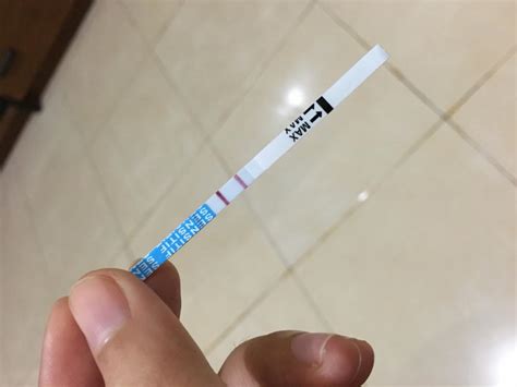 Jual testonemed tespek alat tes kehamilan jakarta. Download 97 Gambar Gambar Tespek Positif Gratis - Pixabay Pro