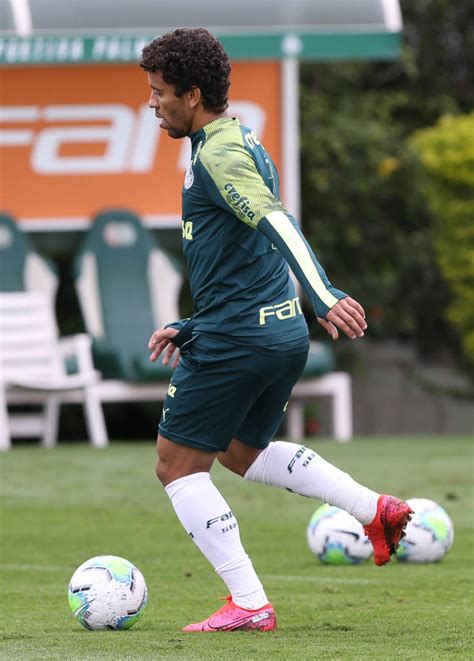 La gran final de la copa libertadores. Palmeiras encerra preparação para clássico contra o Santos ...