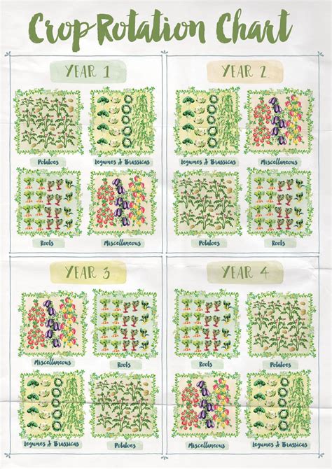 Attracting butterflies to the garden is simple, and the hmm. Crop Rotation Chart Anna Langbein blog | Potager garden ...