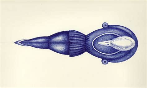 Eugene HŐn Ceramic Artist Ballpoint Pen Drawing Technique A