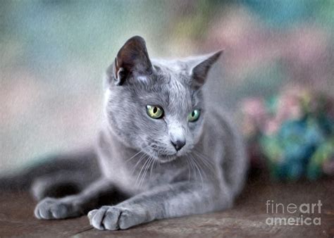 Russian Blue Painting By Nailia Schwarz