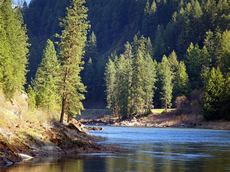 Clearwater The Clearwater River Near Orofino Idaho Michael B Flickr