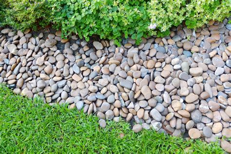 Modern Look Dry Creek Beds River Pebbles In Use Donnellys Garden Supplies