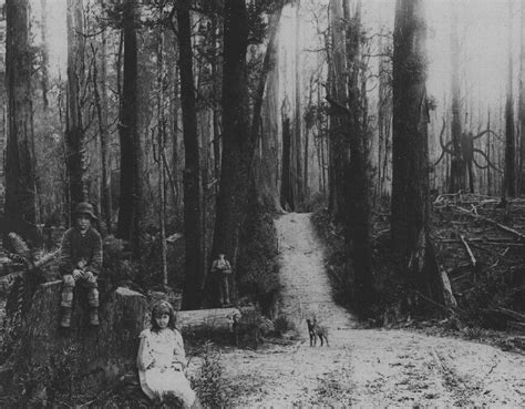 Slender Man Now Said To Be Haunting British Beauty Spot Cannock Chase Huffpost Uk News