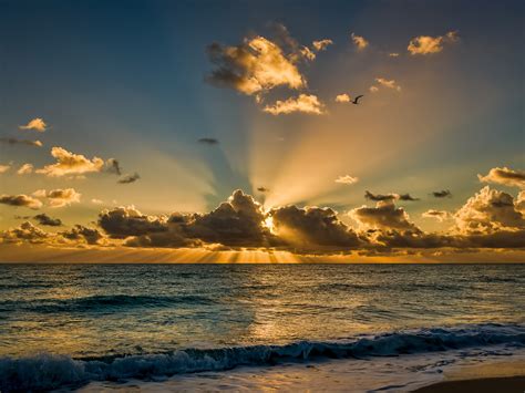 If you like the pleasant beach images, then the aerial beaches premium is the best pick for you. Miami Beach Florida Beautiful Sunrise Morning Sea Ocean ...
