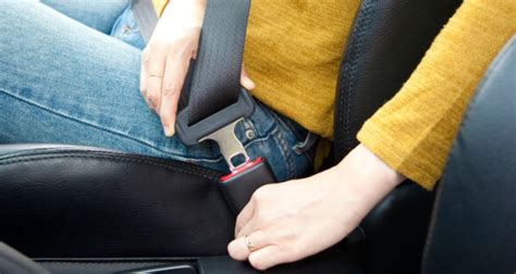 Florida Backseat Seat Belt Law Stay Buckled Stay Safe
