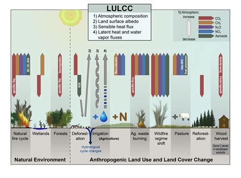Changes In Land Cover And Terrestrial Biogeochemistry Climate Science