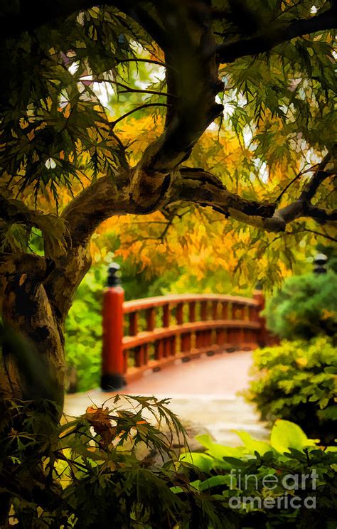 Japanese Garden Photograph By Rudy Viereckl Fine Art America