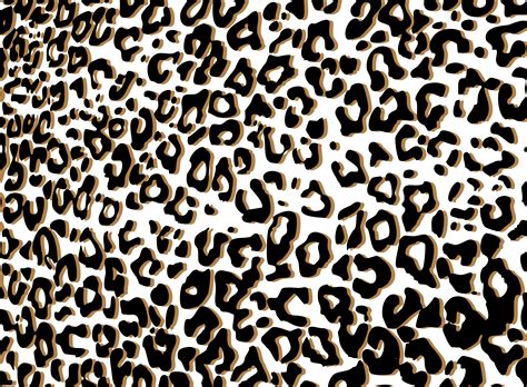 leopard print png 10 free Cliparts | Download images on Clipground 2021