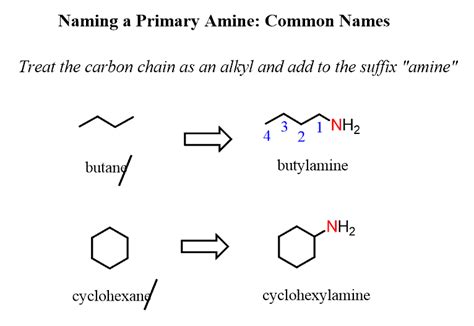 Naming Amines Systematic And Common Nomenclature Chemistry Steps