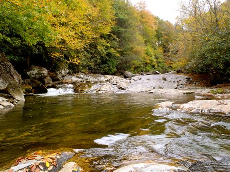 Maybe you would like to learn more about one of these? Guided Fly Fishing in Waynesville, NC | Hookers Fly Shop ...