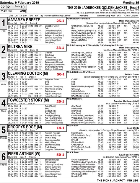 GOLDEN JACKET FULL FORM & PRICES - Greyhound Star | News from the