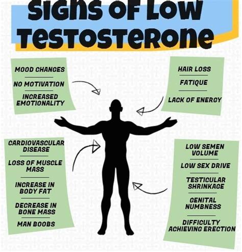 7 Signs Of Low Testosterone Levels Healthgains
