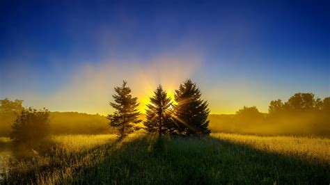 Early Morning Mist Nature Landscape Sunrise Trees High Definition