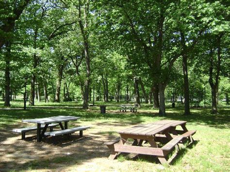 The Best New York Parks For Barbecues And Picnics Curbed Ny