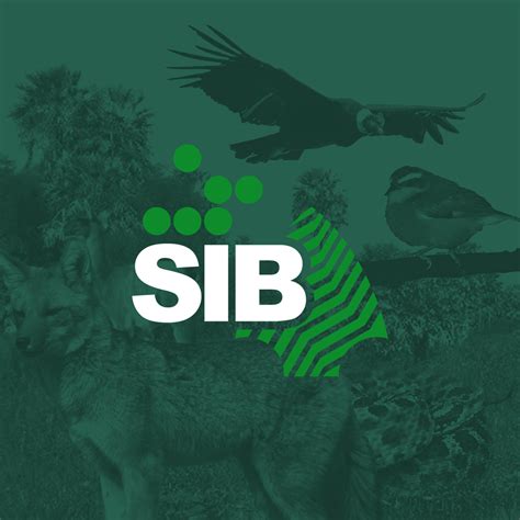 Sistema de Información de Biodiversidad Argentina gob ar