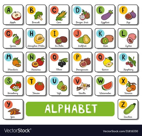 Alphabet With Fruit And Vegetables Square Card Vector Image