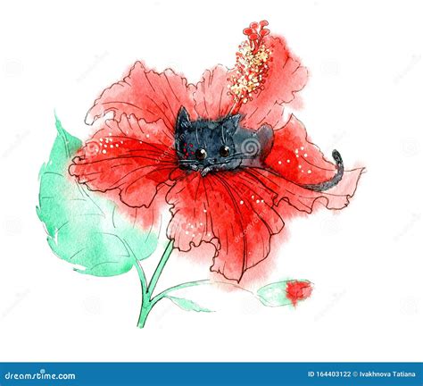 Cute Kawaii Cartoon Black Cat In Red Hibiscus Flower Watercolor