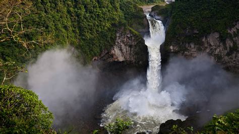 Amazon Rainforest Windows 10 Theme Free Wallpaper Themes