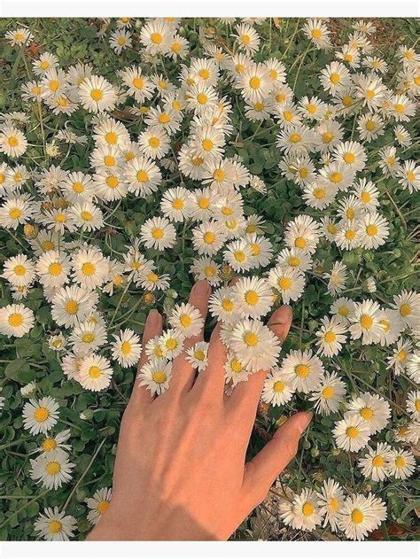 The Flowers Sticker By Viktor Didkovskyi Green Aesthetic Nature