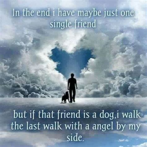 My classmates were writing an essay when i ……. I miss you Lucky, you're my little angel now, I miss you ...