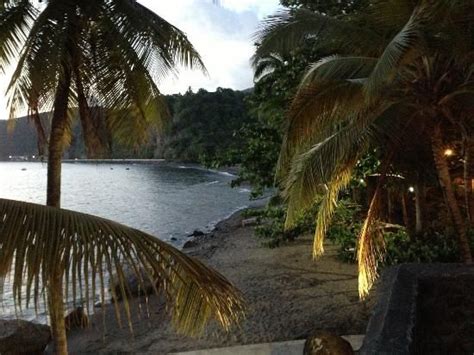 roseau dominica strand roseau dominica island nations cruise port tropical rainforest west