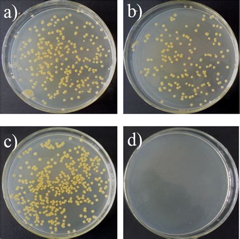 Typical Images Of The Colonies Grown On The Agar Plate Inoculated With