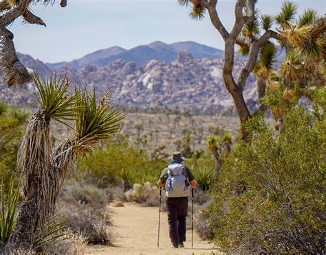 Three Easy Hikes To Enjoy In Joshua Tree National Park — The Mountaineers