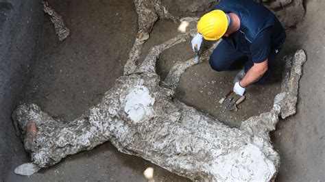 Npr News New Excavation At Pompeii Uncovers Victim Crushed By Massive Rock Pompeii Pompeii