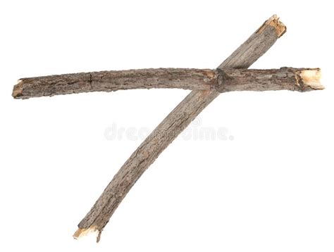 Dry Tree Twigs Branches Isolated On White Background Pieces Of Broken